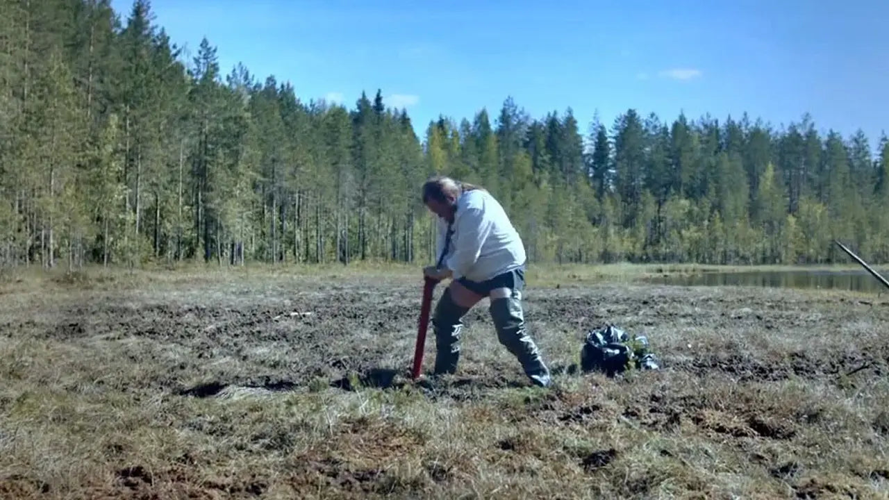 raimo_viherpesu - VALCO