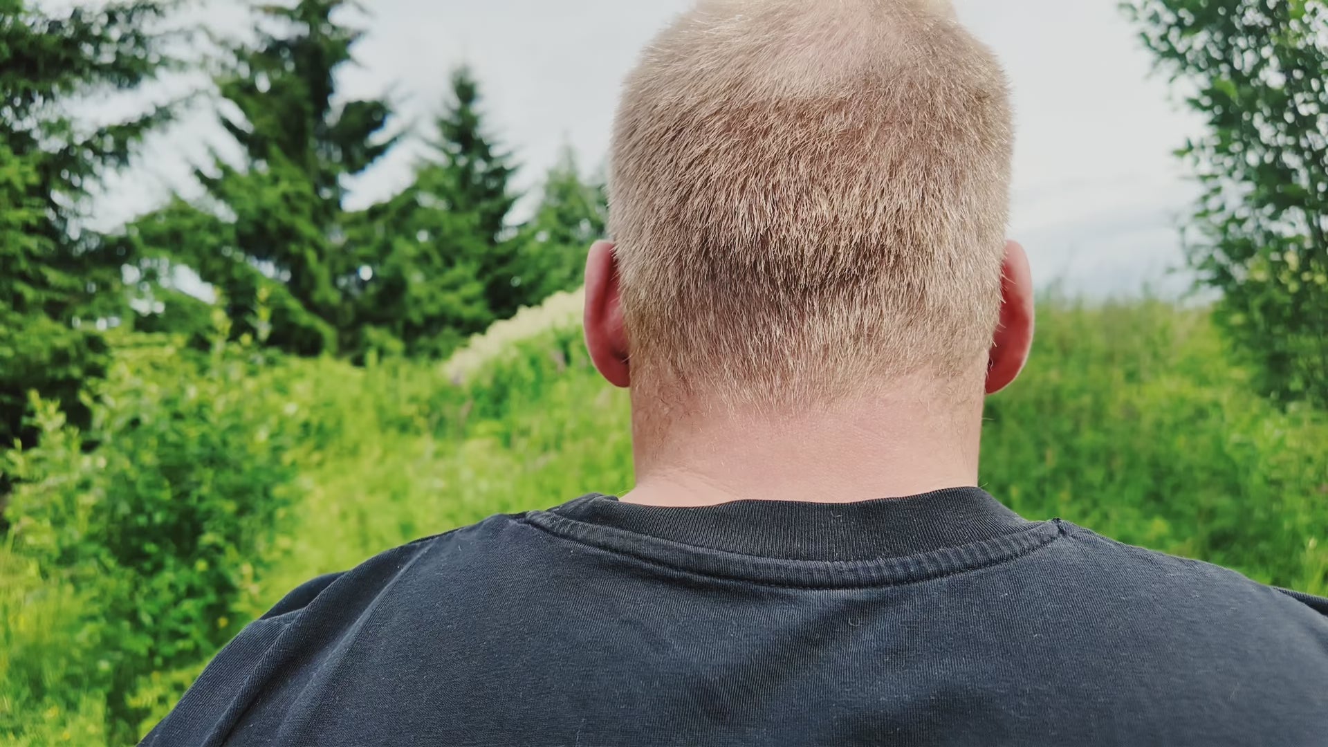 Carica video: 