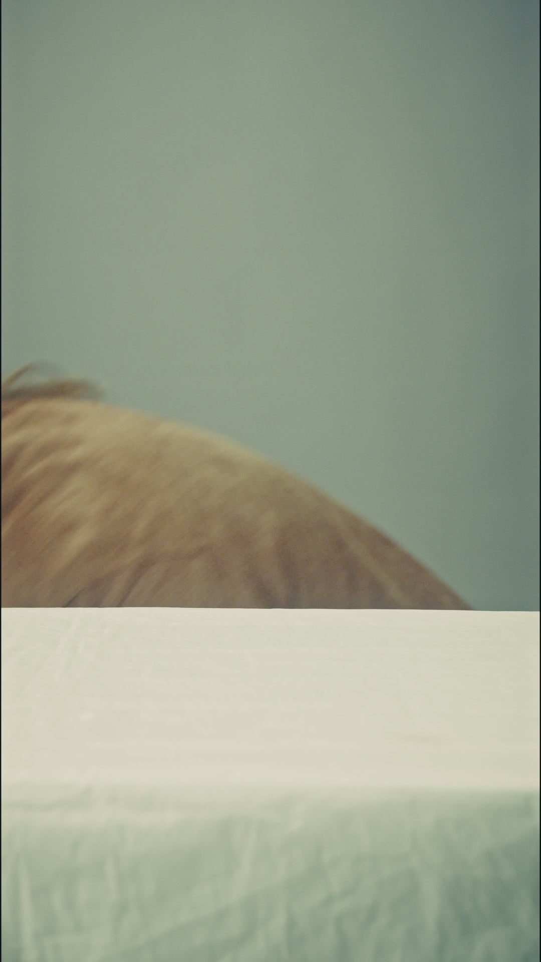 VMK25.2  노이즈 캔슬링 헤드폰