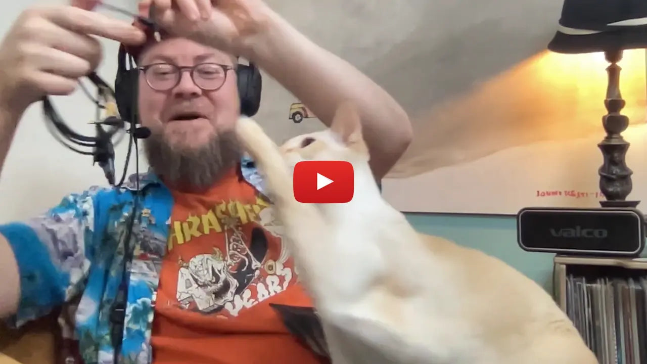 Ladda video: 